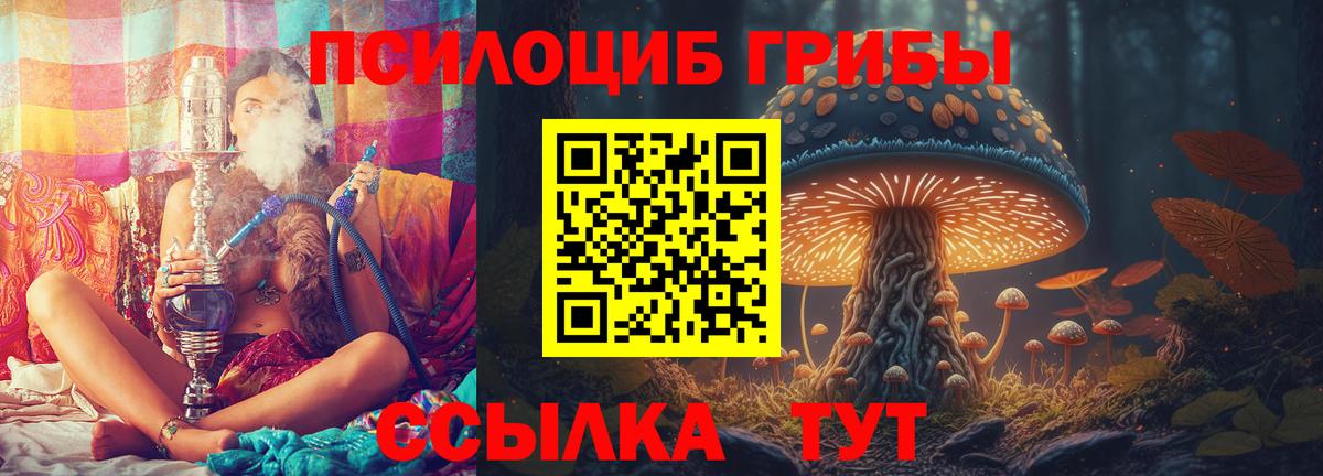 Галлюциногенные грибы GOLDEN TEACHER  Вход с VPN  Комсомольск-на-Амуре 